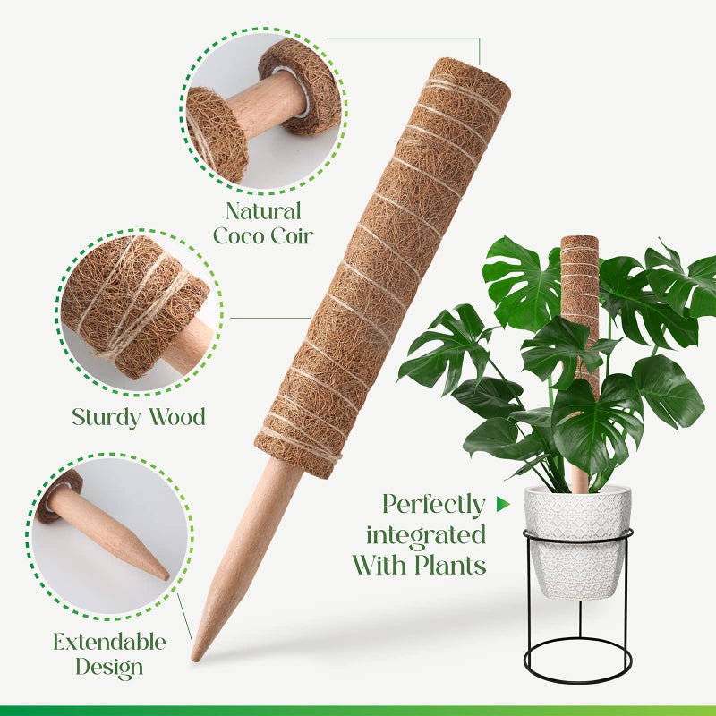 Pisol Moss Pole for Plants Monstera  Extendable Plant Sticks Support  Plant Stakes for Indoor Potted Plant  15.7'' Coco Coir Pole Plant Trellis for Sphagnum  Pothos and Other Climbing Plants(2 PCS) - Image 5